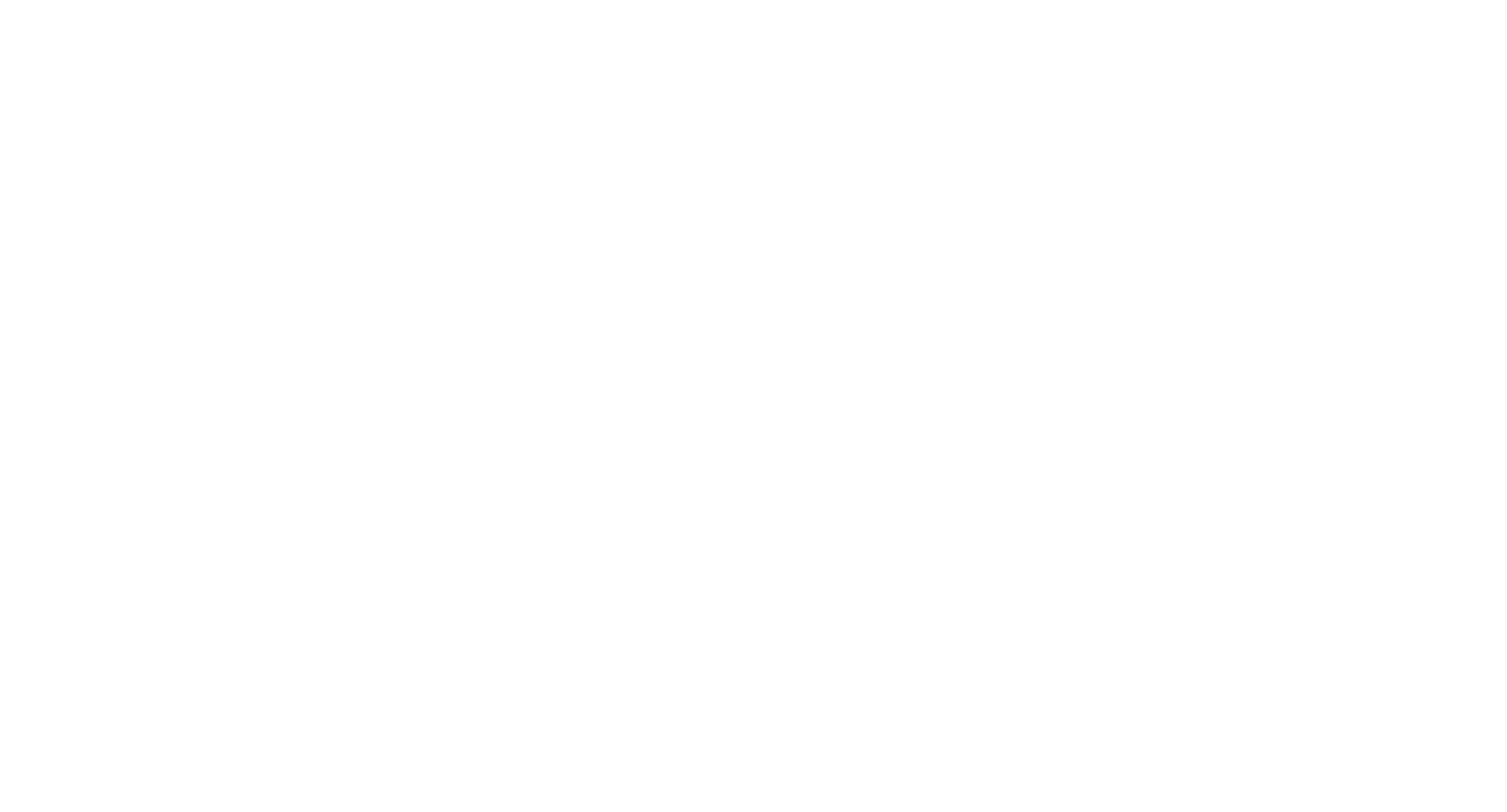 DJ Zim